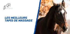 Lire la suite à propos de l’article Les meilleurs tapis de massage pour le cheval