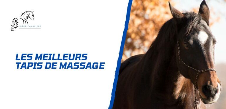 Lire la suite à propos de l’article Les meilleurs tapis de massage pour le cheval