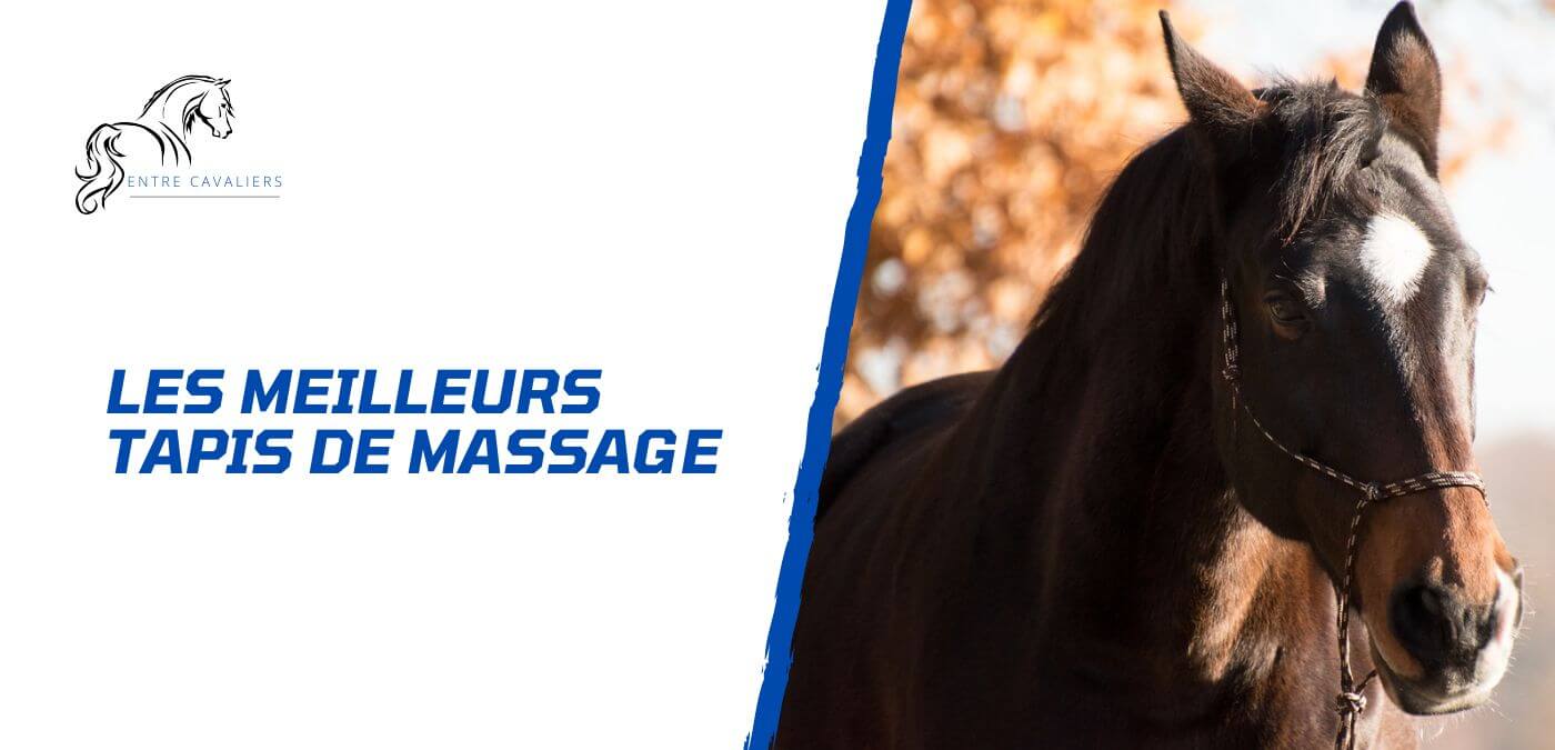 You are currently viewing Les meilleurs tapis de massage pour le cheval