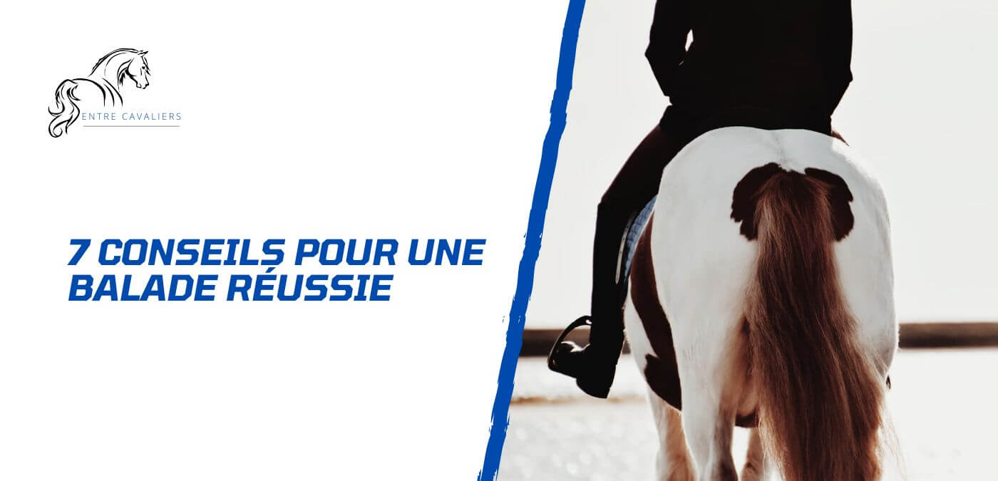 You are currently viewing 7 conseils pour une balade à cheval réussie