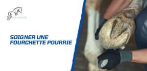 Lire la suite à propos de l’article Comment soigner une fourchette pourrie d’un cheval?