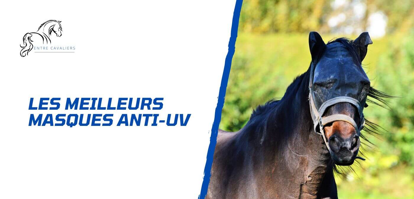 You are currently viewing Comment choisir le meilleur masque anti-UV pour son cheval?