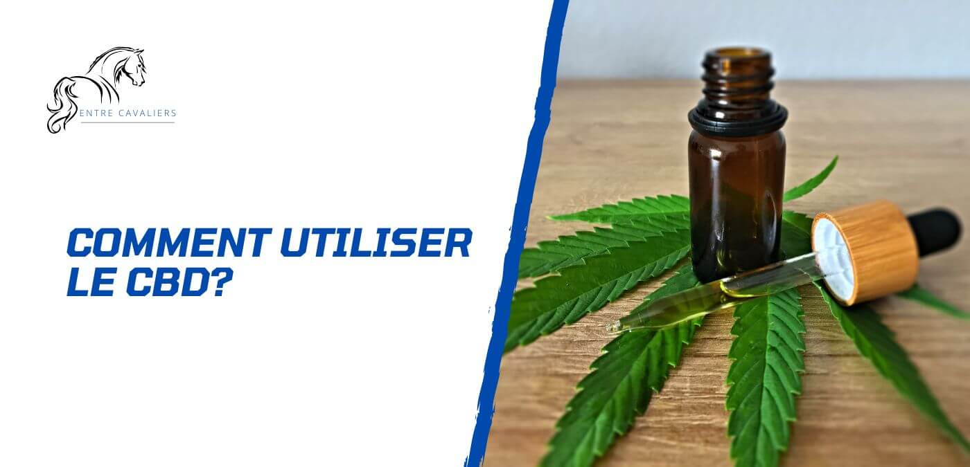 You are currently viewing Comment utiliser le CBD pour le bien-être de son cheval?