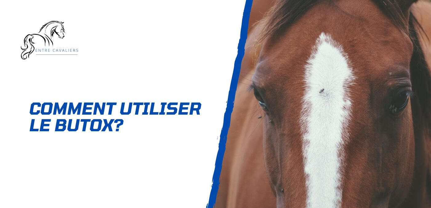 You are currently viewing Comment utiliser le Butox pour son cheval?