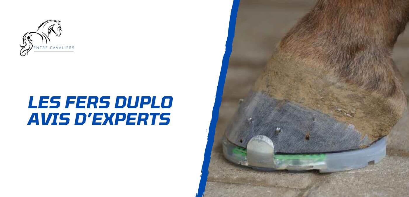 You are currently viewing Pourquoi choisir les fers Duplo pour son cheval? Avis d’experts