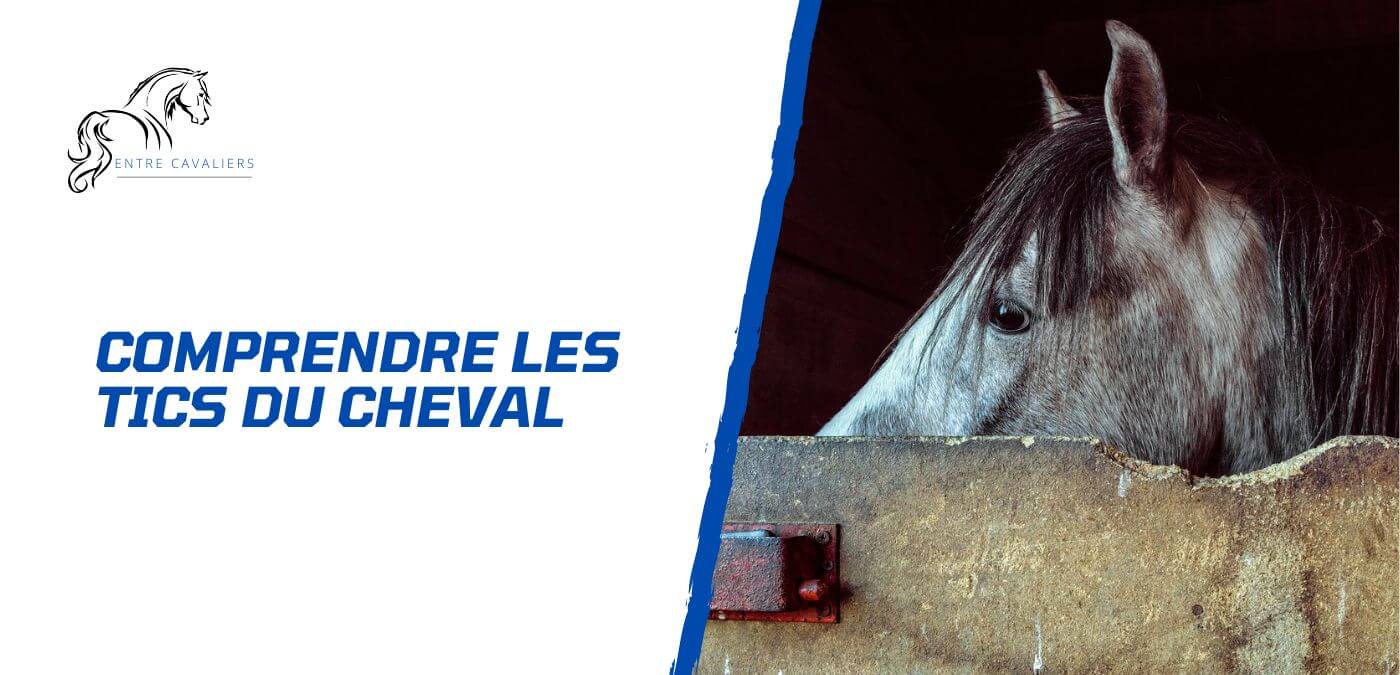 You are currently viewing Tic et stéréotypie – Que faire avec un cheval qui tique?