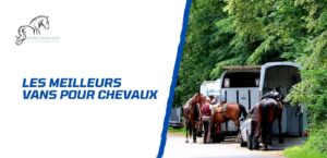 Lire la suite à propos de l’article Comment choisir son van pour chevaux? Conseils et sélection
