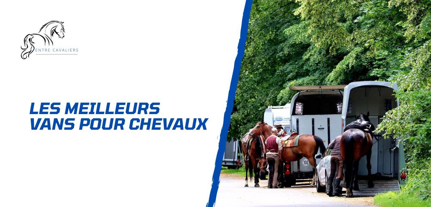 You are currently viewing Comment choisir son van pour chevaux? Conseils et sélection