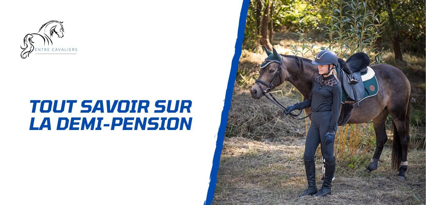 You are currently viewing La demi-pension d’un cheval – Tout ce que vous devez savoir