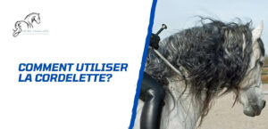 Lire la suite à propos de l’article Comment utiliser la cordelette avec un cheval?
