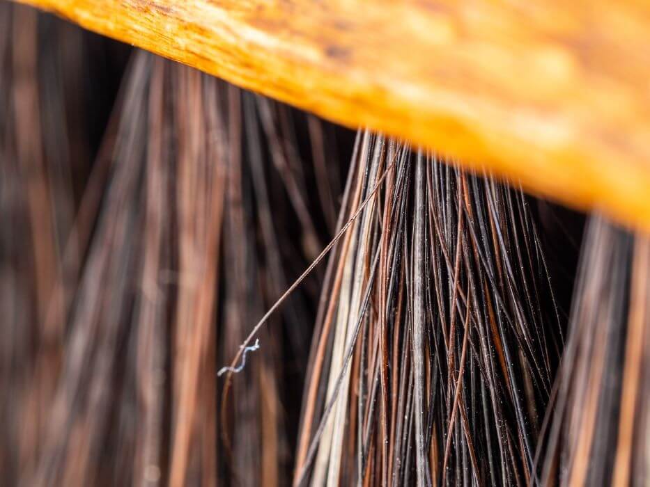 brosse en crins de cheval