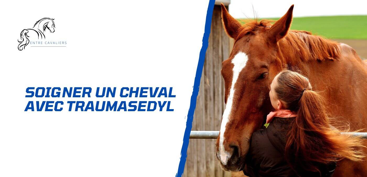 You are currently viewing Soigner un cheval avec Traumasedyl – Conseils pratiques