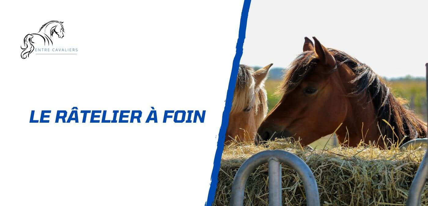 râtelier à foin chevaux