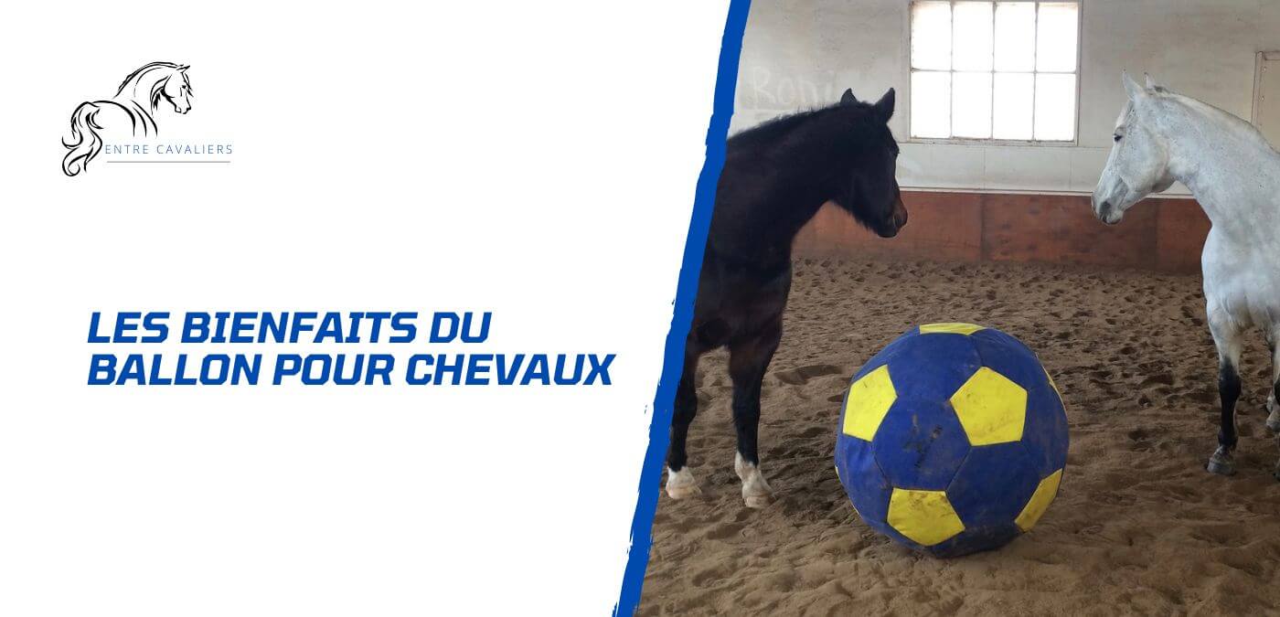 You are currently viewing Les avantages d’utiliser un ballon pour cheval