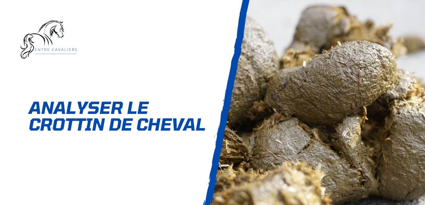 crottin de cheval