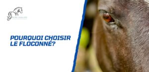Lire la suite à propos de l’article Pourquoi choisir le floconné pour son cheval?