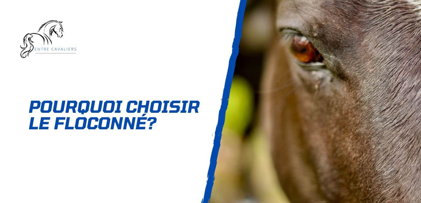 You are currently viewing Pourquoi choisir le floconné pour son cheval?