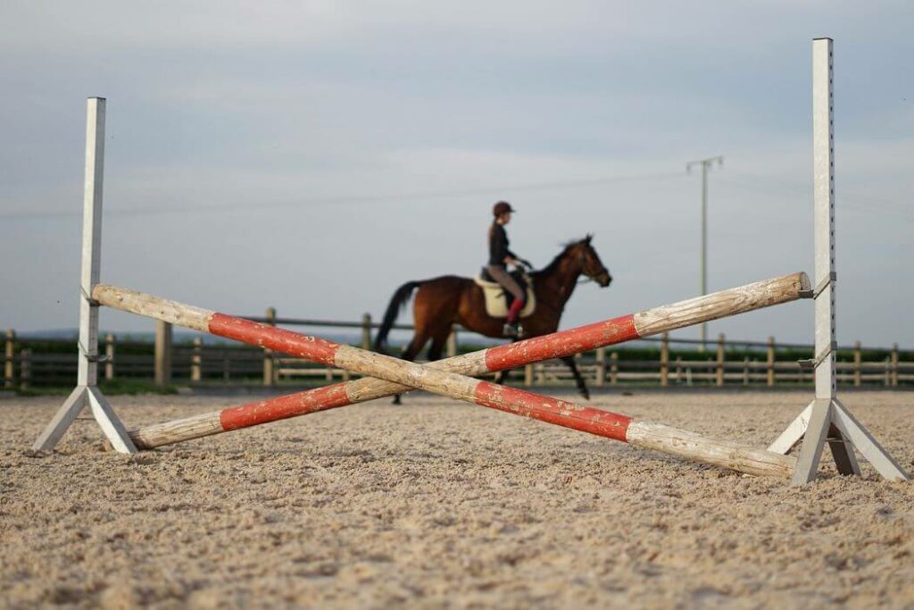 cheval saut croix