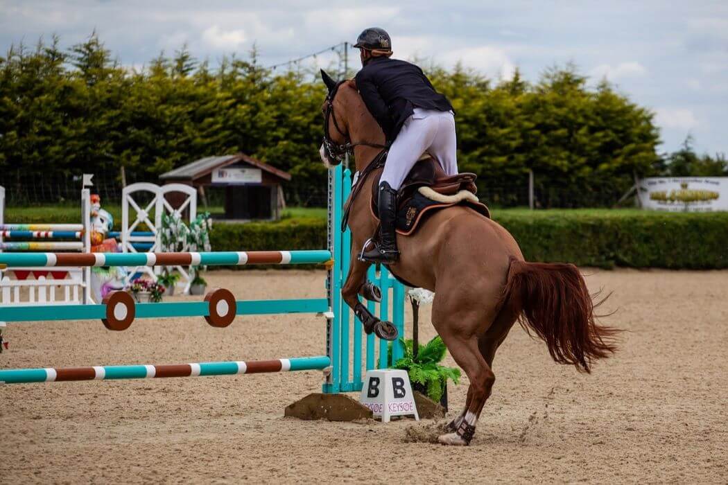 grasset cheval saut d'obstacle