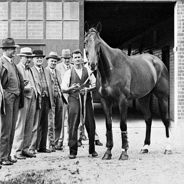 cheval célèbre Phar Lap