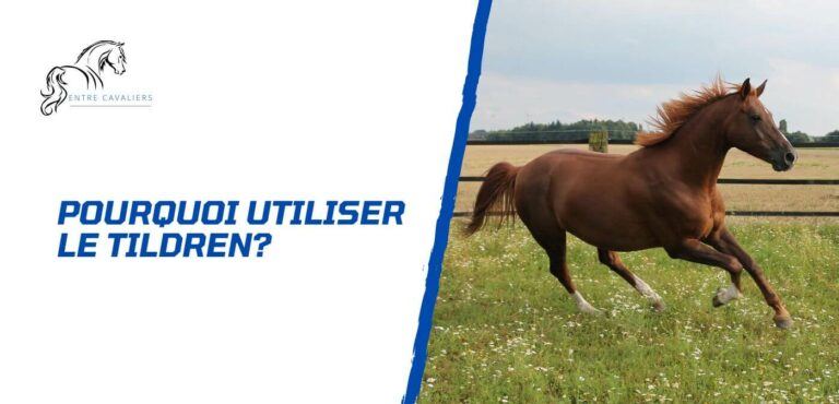 Lire la suite à propos de l’article Pourquoi et quand utiliser le Tildren pour son cheval?