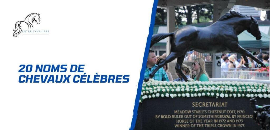 20 noms de chevaux célèbres dans le monde équestre