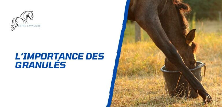 granulés pour chevaux