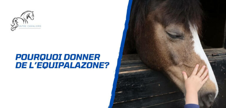 Lire la suite à propos de l’article Comment et quand donner de l’Equipalazone à un cheval?