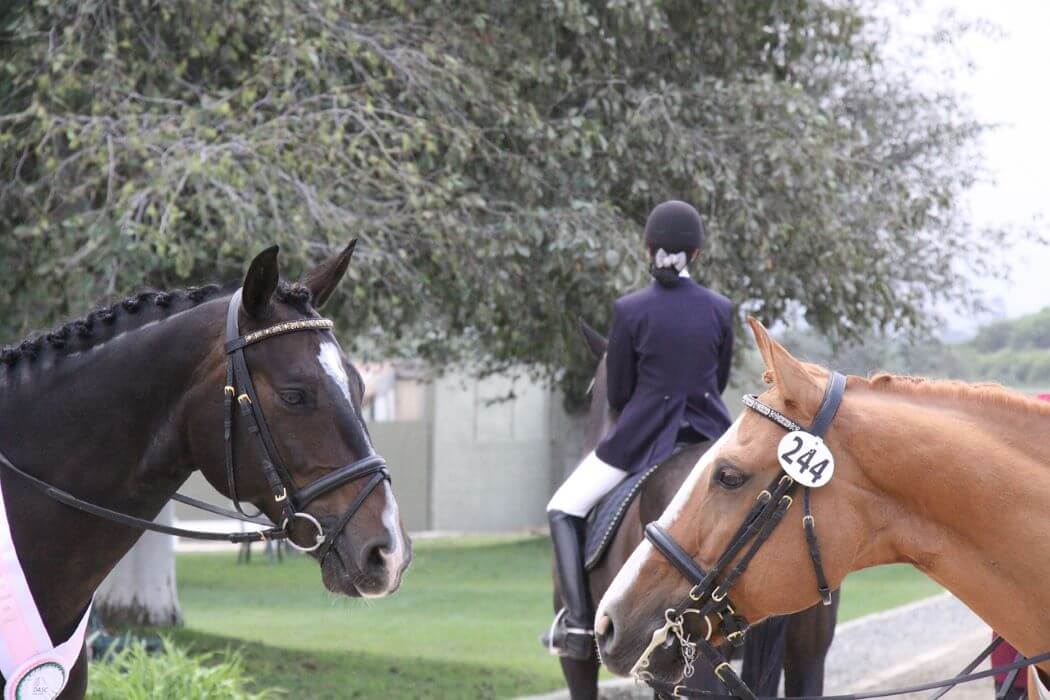 tresse crinière cheval