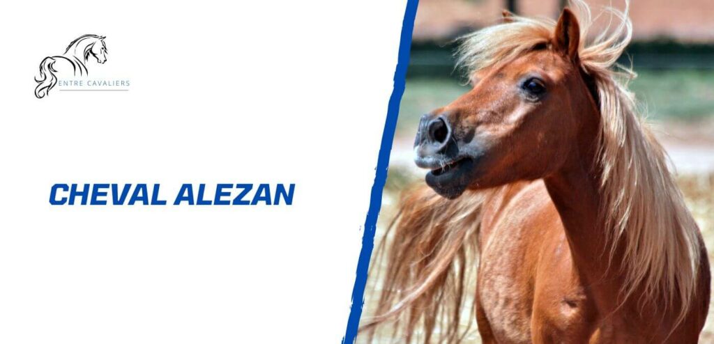 robe cheval alezan