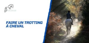Lire la suite à propos de l’article Comment faire un bon trotting à cheval? Conseils pour cavaliers