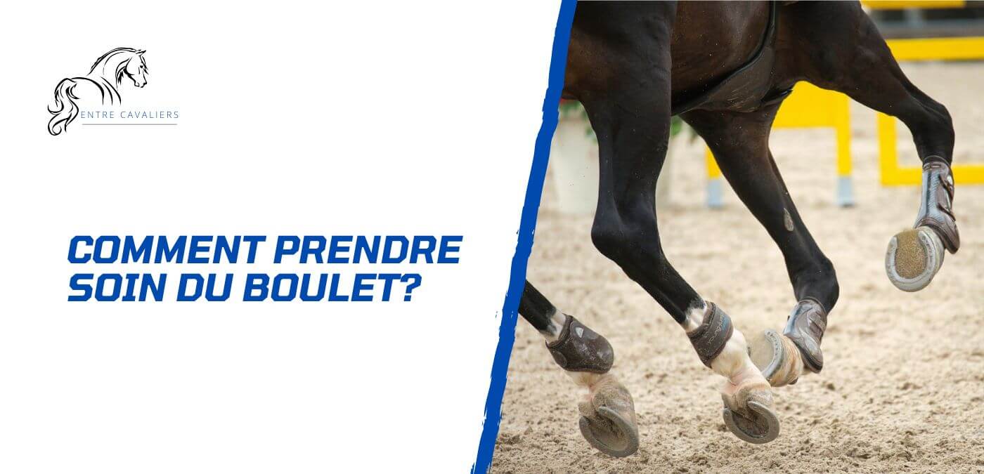 You are currently viewing Comment prendre soin du boulet du cheval?