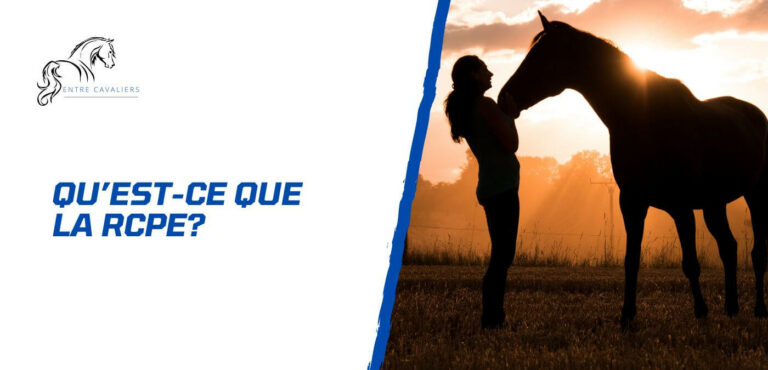 Lire la suite à propos de l’article Pourquoi et comment avoir une RCPE pour son cheval?