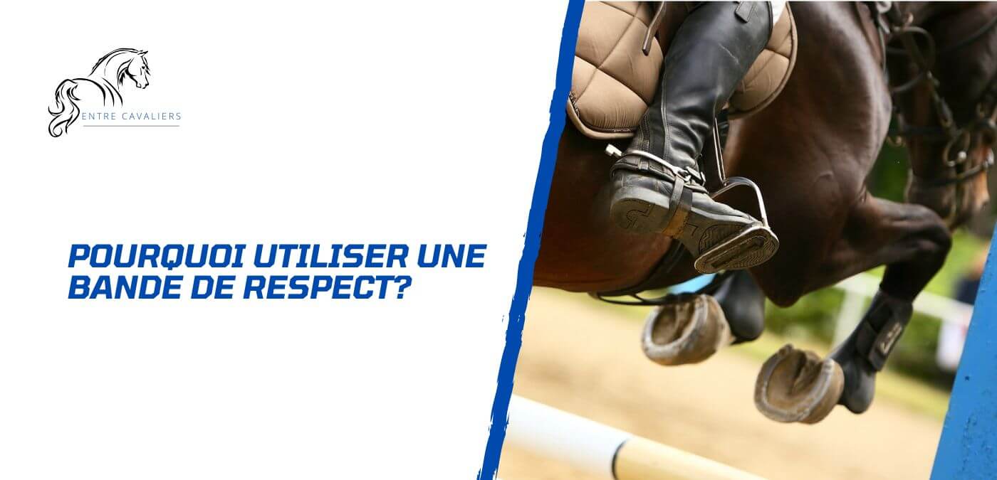 You are currently viewing Pourquoi utiliser une bande de respect pour son cheval?