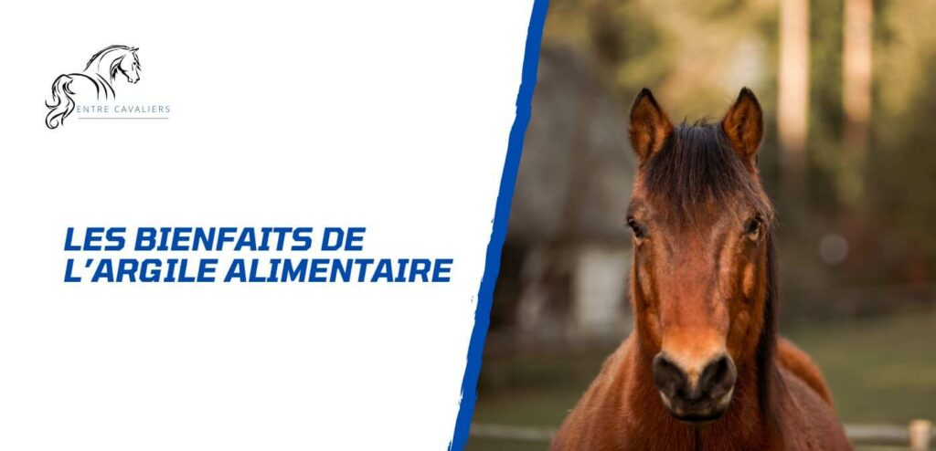 argile alimentaire cheval