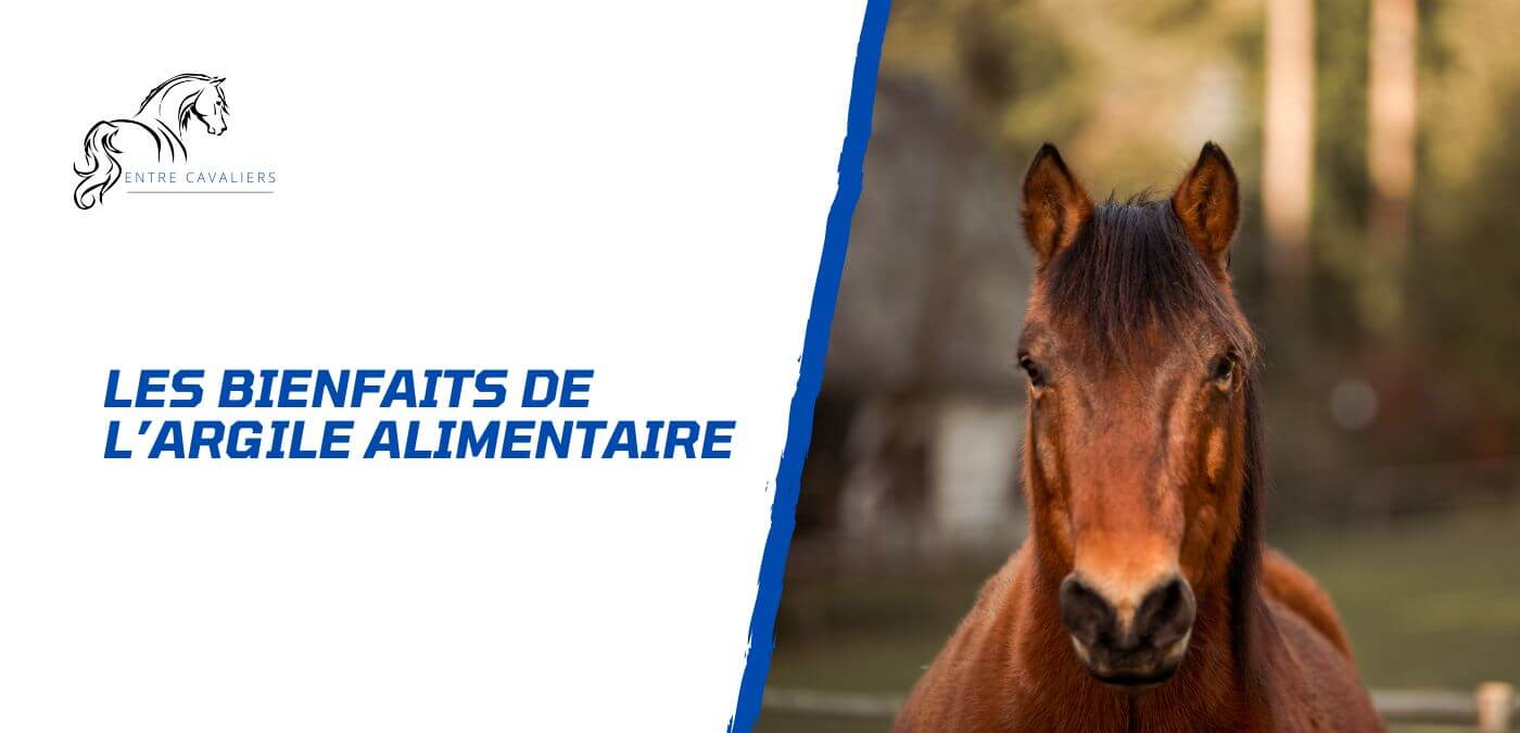 You are currently viewing Les bienfaits de l’argile alimentaire pour le cheval