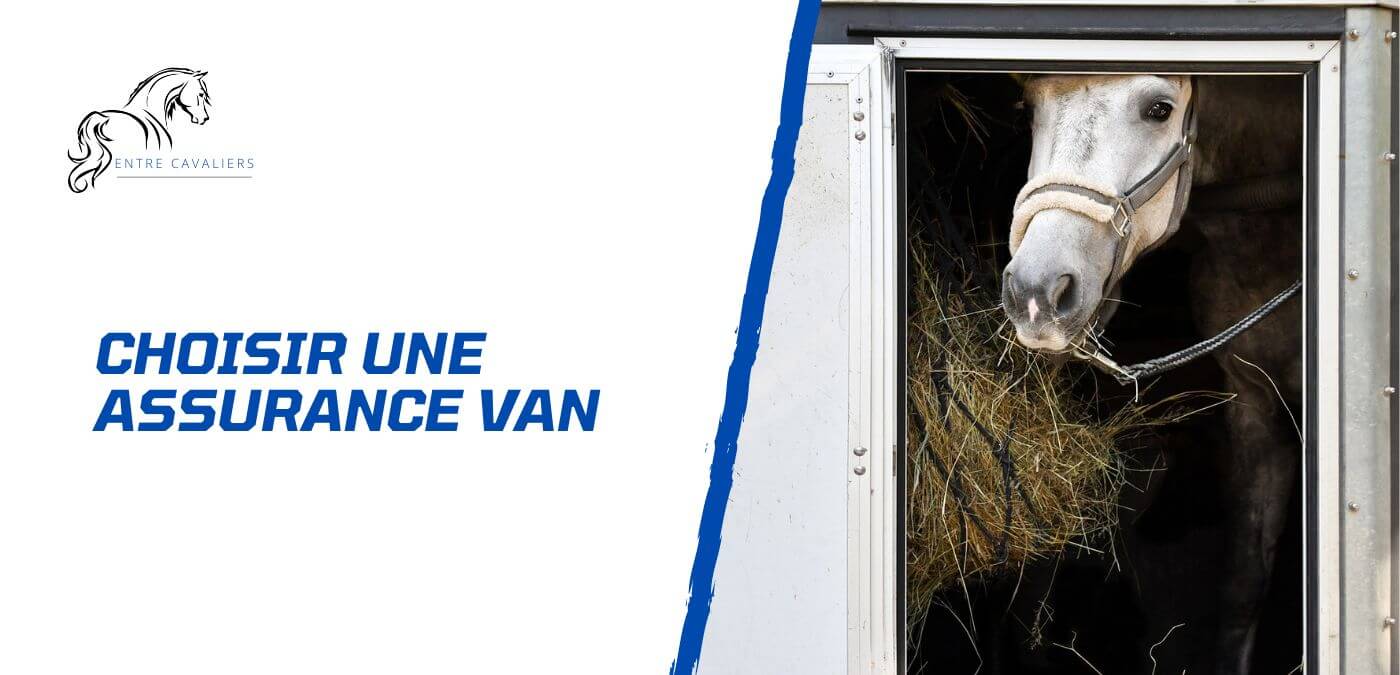 You are currently viewing Comment choisir la meilleure assurance van pour son cheval?