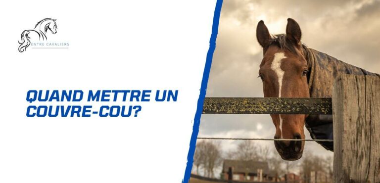 Lire la suite à propos de l’article Pourquoi mettre un couvre-cou à son cheval?