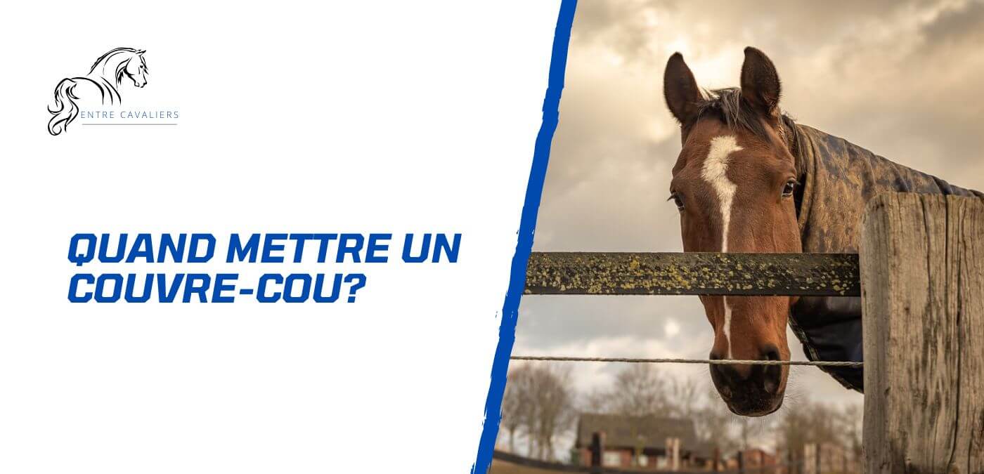 You are currently viewing Pourquoi mettre un couvre-cou à son cheval?