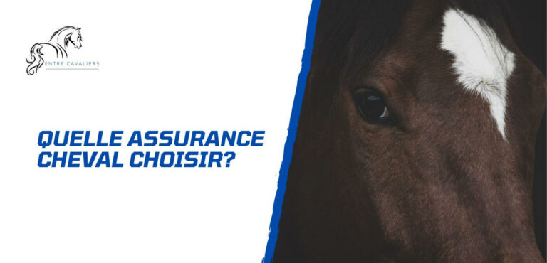 assurance cheval