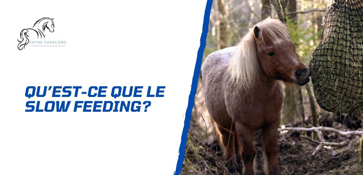 You are currently viewing Pourquoi et comment adopter le slow feeding pour son cheval?