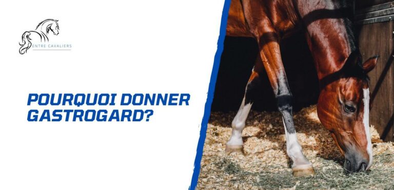 Lire la suite à propos de l’article Pourquoi et comment utiliser Gastrogard pour son cheval?