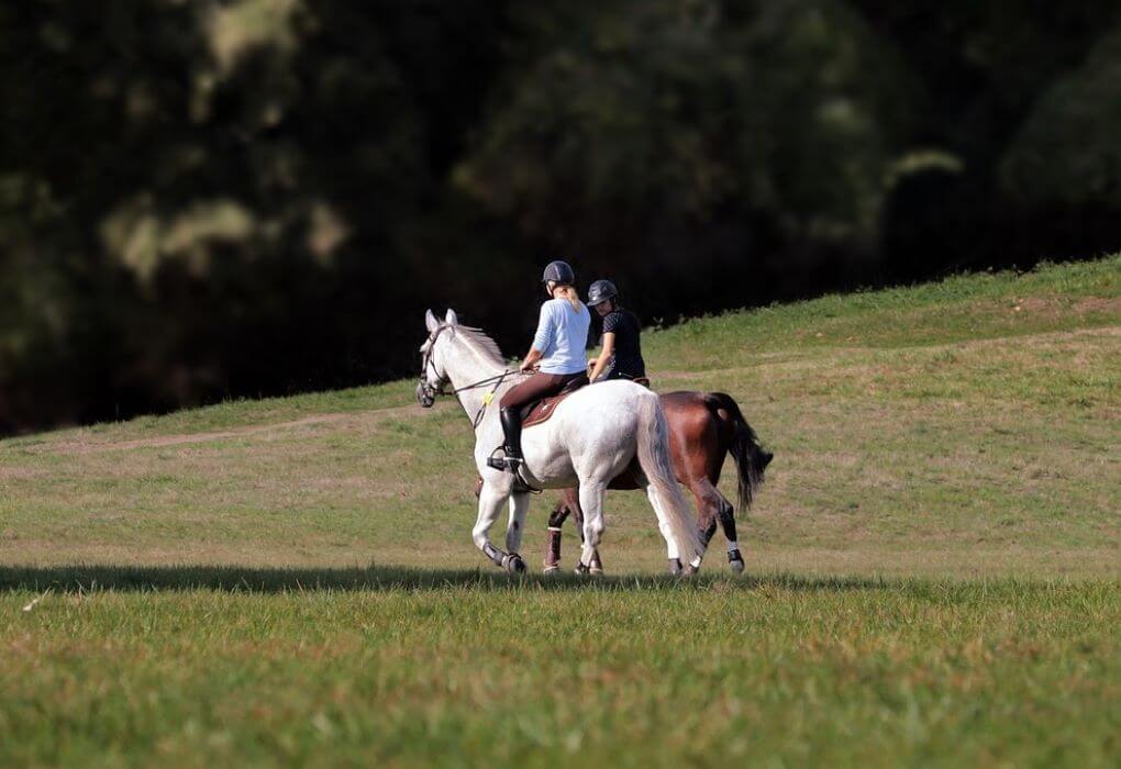 trotting cheval