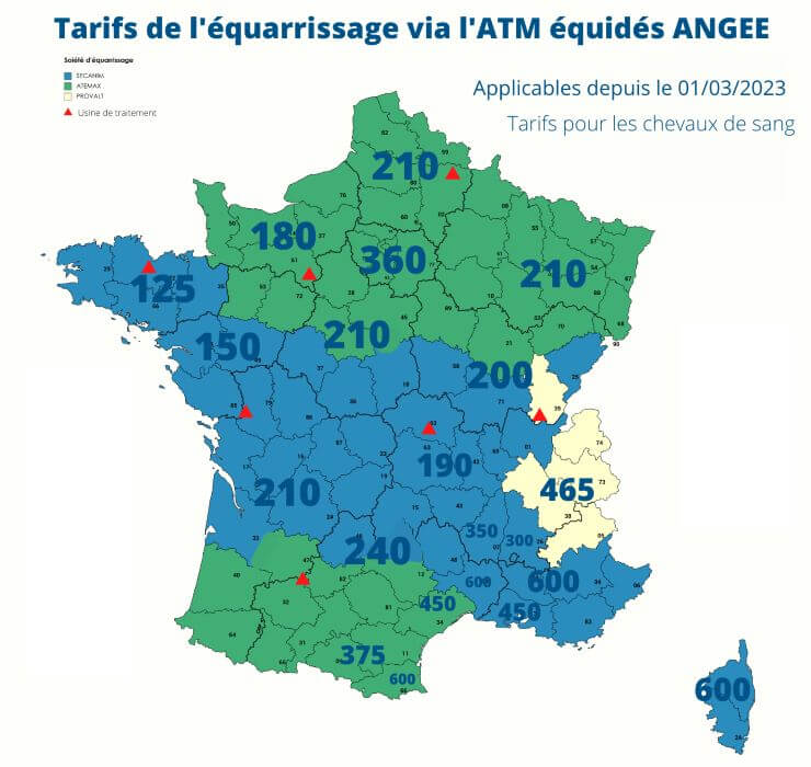 tarif équarrissage cheval