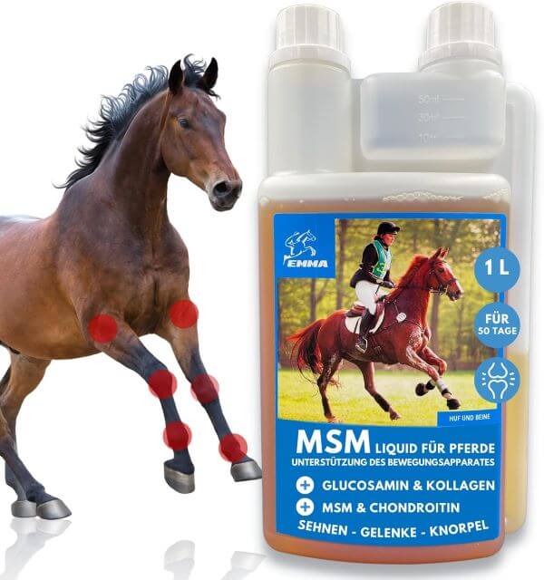 msm cheval liquide