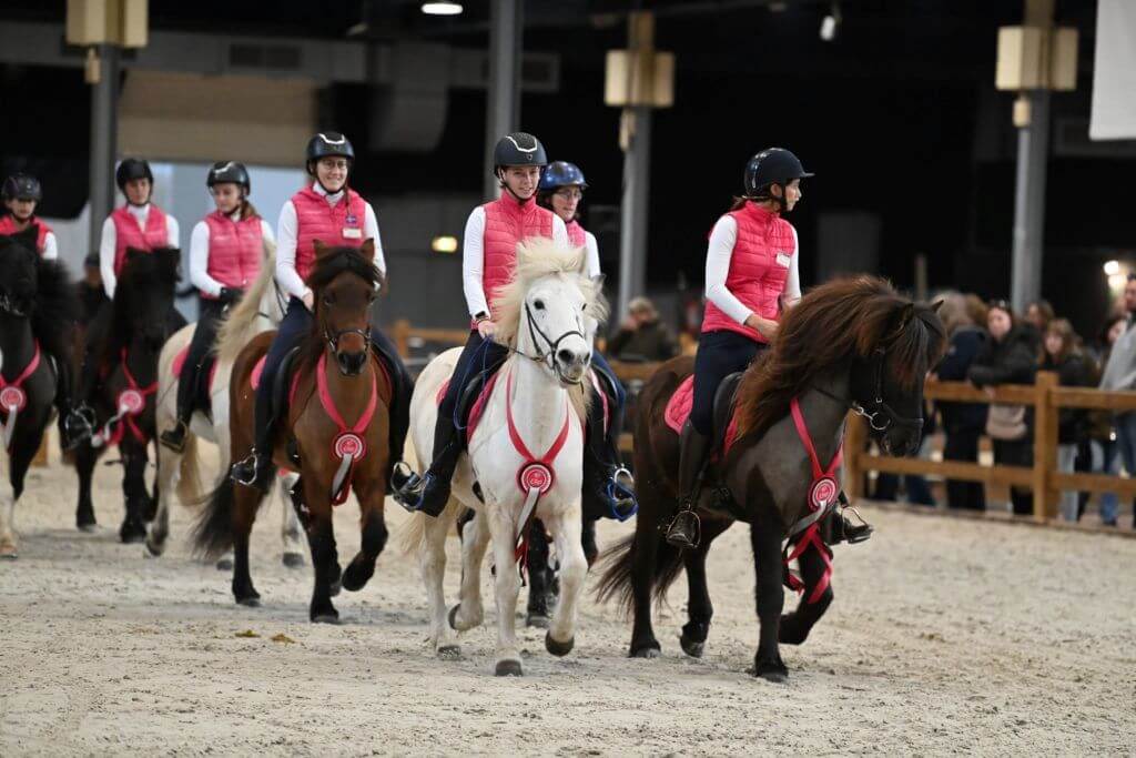 Salon du Cheval Angers