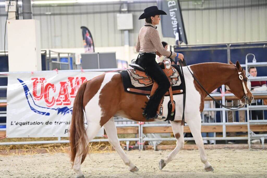 salon du cheval d'angers