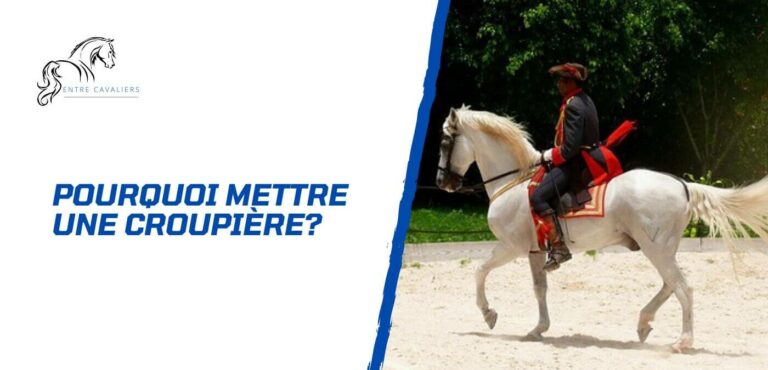 Lire la suite à propos de l’article Pourquoi utiliser une croupière pour son cheval?