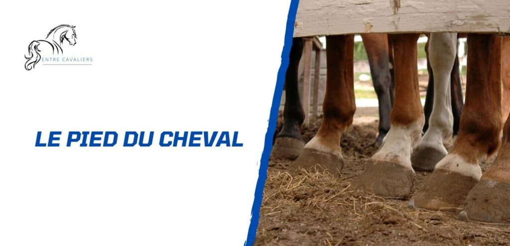 pied cheval