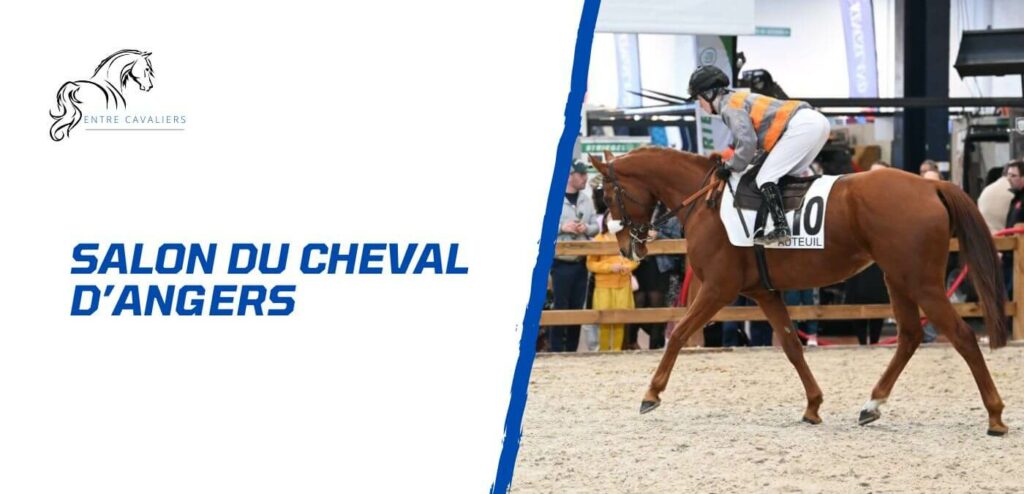 salon du cheval angers